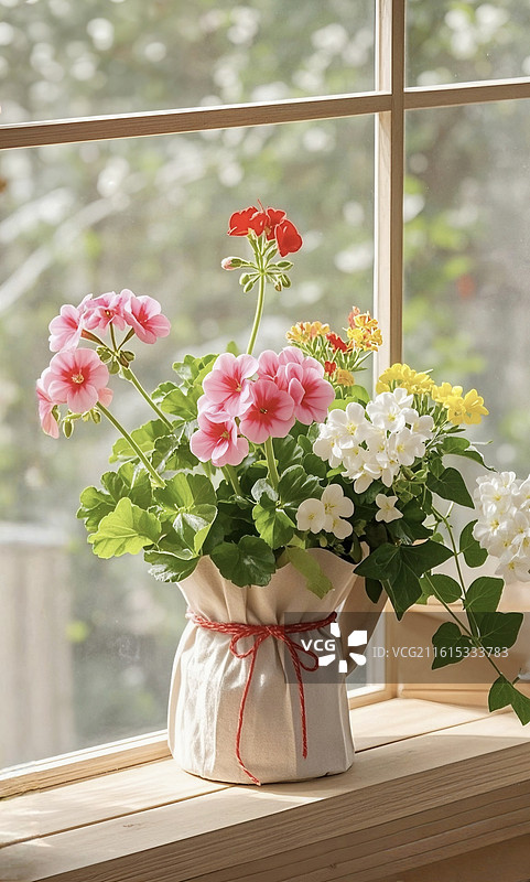 窗户边窗台上的插花盆景图片素材