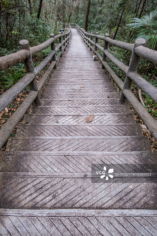 冬日的四川省绵阳市北川县九皇山猿王洞景区各种图片图片素材