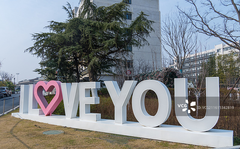 合肥市包河区民政局骆岗婚姻登记处门口的景观布置图片素材