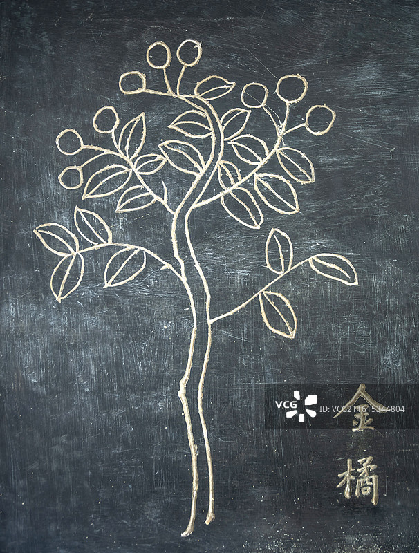 湖北省黄冈市蕲春县李时珍纪念馆石刻中草药金橘图片素材