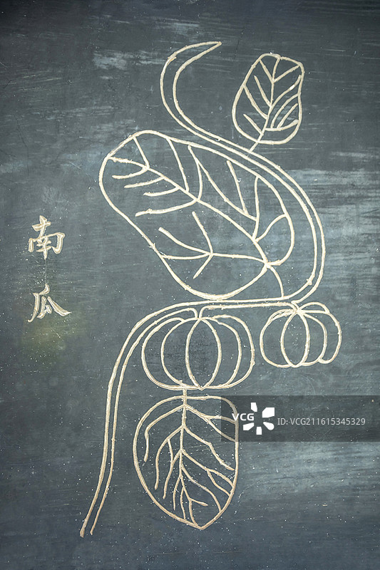 湖北省黄冈市蕲春县李时珍纪念馆石刻中草药南瓜图片素材