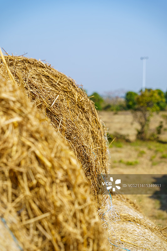 佛山市三水区南山镇的草垛图片素材