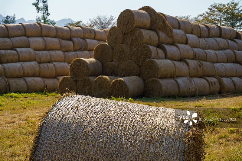 佛山市三水区南山镇的草垛图片素材