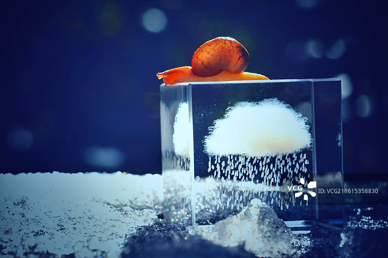 冬天。蜗牛。天气寒冷心情情绪云朵下雨图片素材