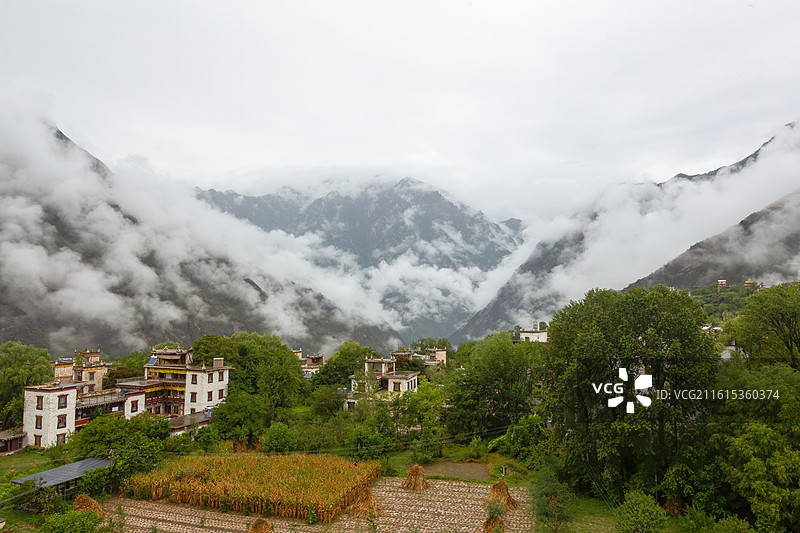 云雾缠绕的峡谷里的农田图片素材