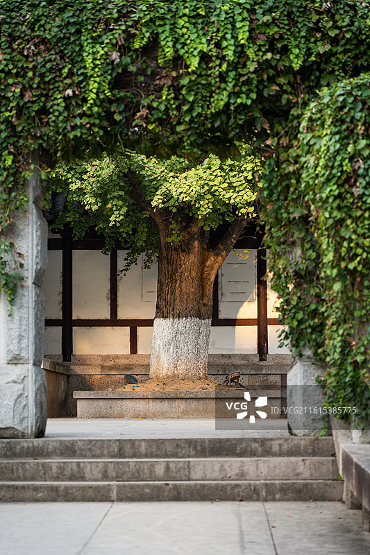 绍兴西施山遗址公园图片素材