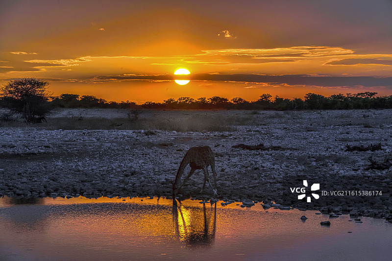 黄昏·水边图片素材