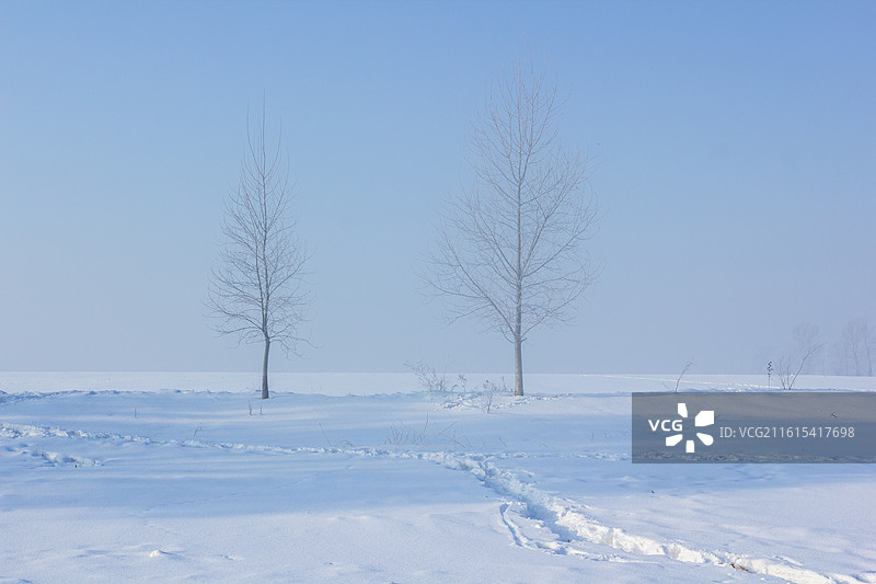 中国吉林雾凇岛冬天冰雪中的树木风景图片素材
