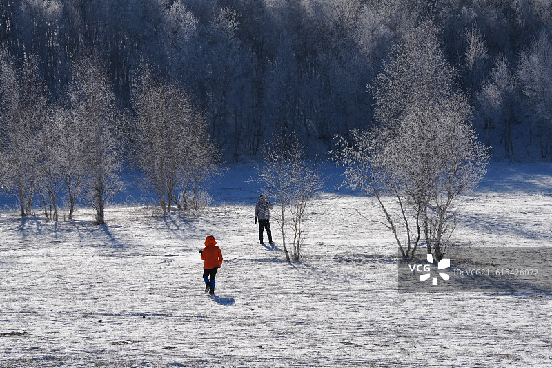 乌兰布统 冰雪 树林 旅游 风景图片素材