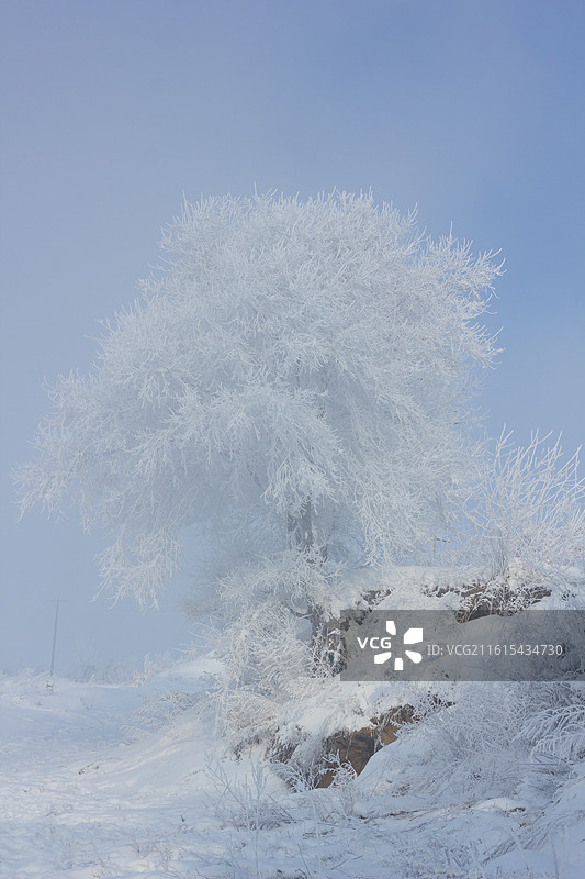 中国吉林雾凇岛树挂景观图片素材