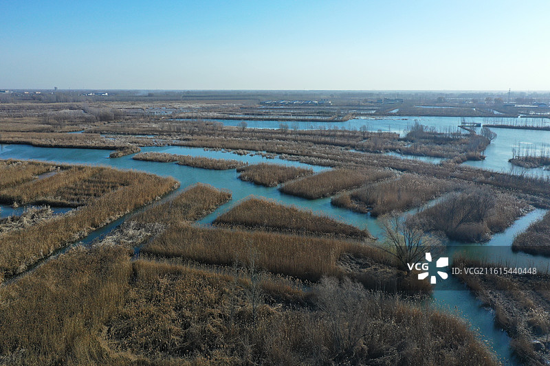 碧水连天映霞光，野鸭掠舞芦花黄  俯身临岸观舟远，银杏红叶风里扬  千岛万湖织洋淀，生态画卷韵悠长图片素材