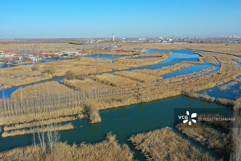 碧水连天映霞光，野鸭掠舞芦花黄  俯身临岸观舟远，银杏红叶风里扬  千岛万湖织洋淀，生态画卷韵悠长图片素材