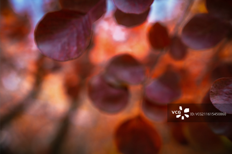 北京坡峰岭图片素材