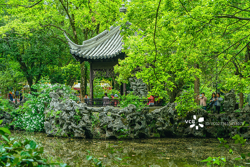 江南绿意图片素材