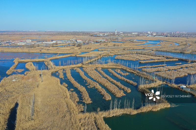 碧水连天映霞光，野鸭掠舞芦花黄  俯身临岸观舟远，银杏红叶风里扬  千岛万湖织洋淀，生态画卷韵悠长图片素材