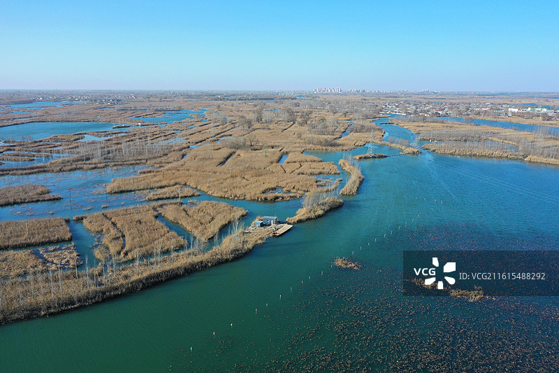 碧水连天映霞光，野鸭掠舞芦花黄  俯身临岸观舟远，银杏红叶风里扬  千岛万湖织洋淀，生态画卷韵悠长图片素材
