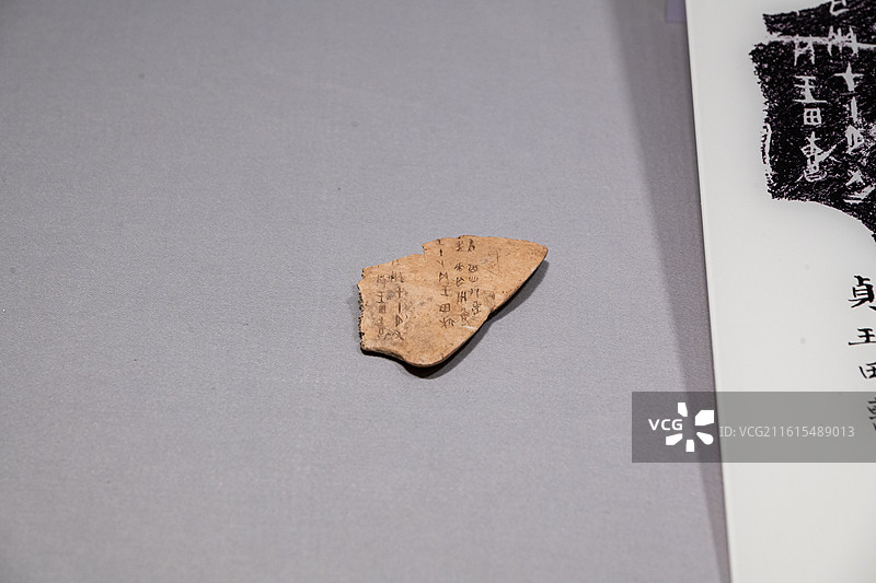 天津博物馆 商帝乙 帝辛 刻辞卜骨 王襄旧藏 甲骨文图片素材
