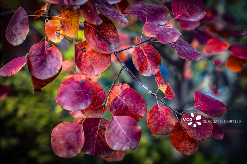 北京坡峰岭图片素材