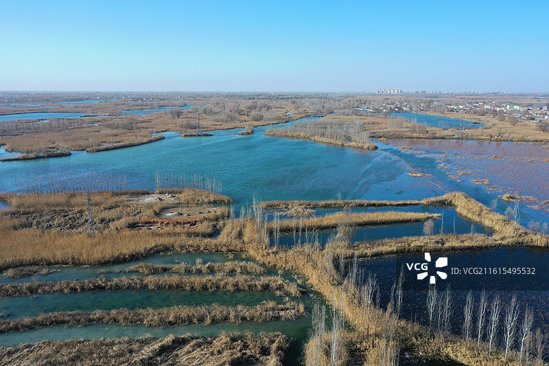 碧水连天映霞光，野鸭掠舞芦花黄  俯身临岸观舟远，银杏红叶风里扬  千岛万湖织洋淀，生态画卷韵悠长图片素材