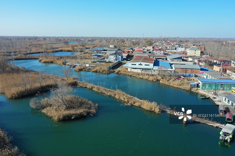 碧水连天映霞光，野鸭掠舞芦花黄  俯身临岸观舟远，银杏红叶风里扬  千岛万湖织洋淀，生态画卷韵悠长图片素材
