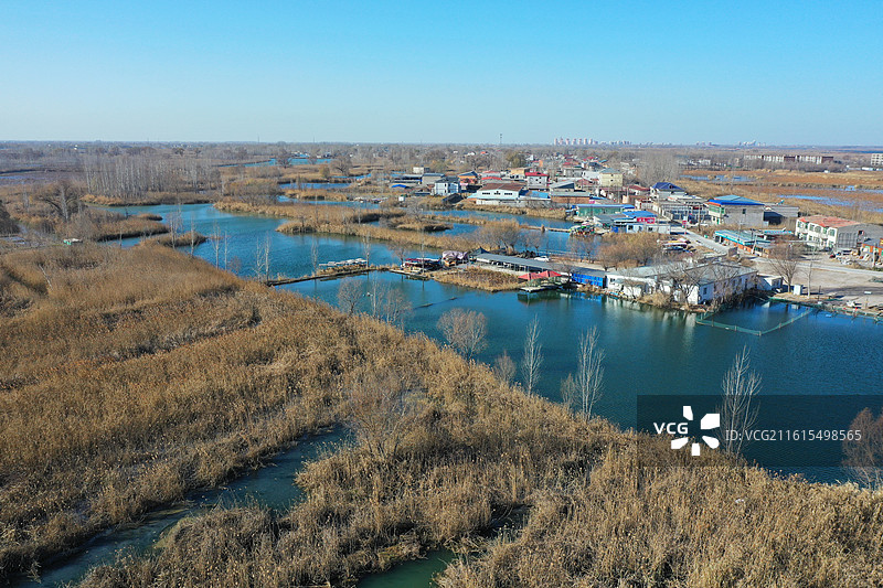 碧水连天映霞光，野鸭掠舞芦花黄  俯身临岸观舟远，银杏红叶风里扬  千岛万湖织洋淀，生态画卷韵悠长图片素材