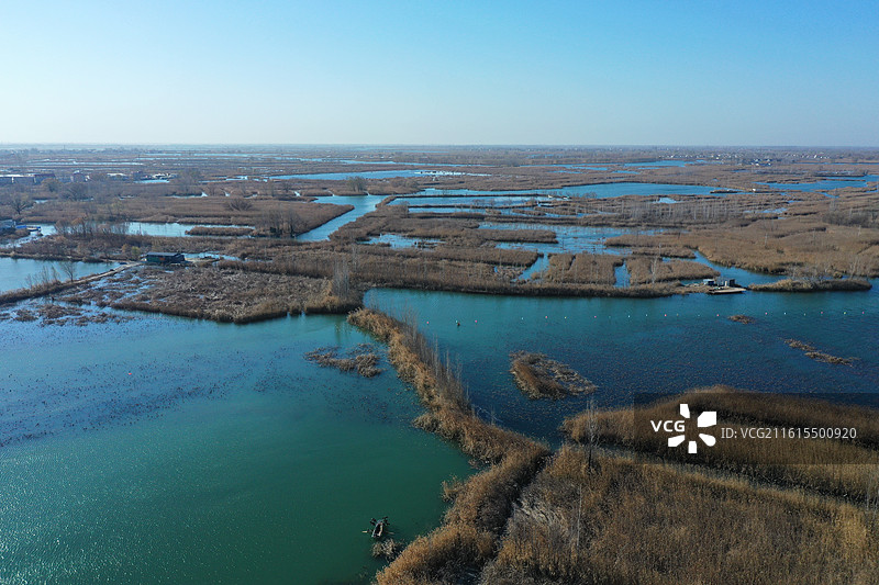 碧水连天映霞光，野鸭掠舞芦花黄  俯身临岸观舟远，银杏红叶风里扬  千岛万湖织洋淀，生态画卷韵悠长图片素材
