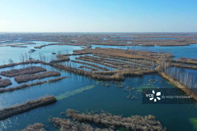 碧水连天映霞光，野鸭掠舞芦花黄  俯身临岸观舟远，银杏红叶风里扬  千岛万湖织洋淀，生态画卷韵悠长图片素材