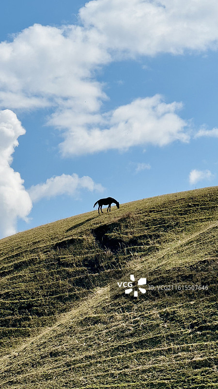 那拉提草原图片素材