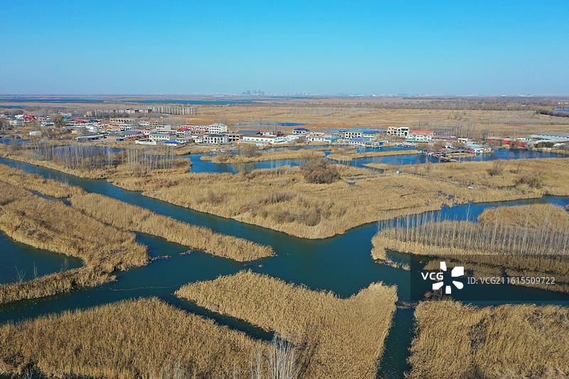 碧水连天映霞光，野鸭掠舞芦花黄  俯身临岸观舟远，银杏红叶风里扬  千岛万湖织洋淀，生态画卷韵悠长图片素材