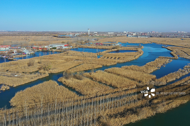 碧水连天映霞光，野鸭掠舞芦花黄  俯身临岸观舟远，银杏红叶风里扬  千岛万湖织洋淀，生态画卷韵悠长图片素材
