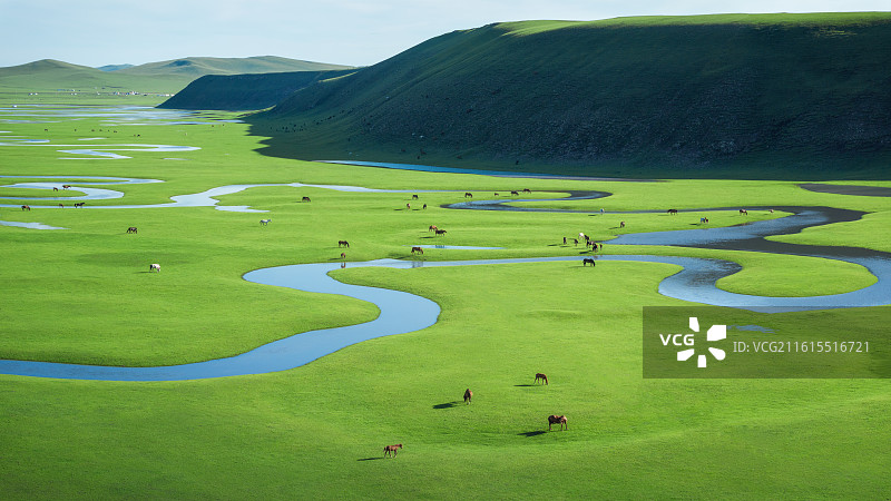 呼伦贝尔大草原莫尔格勒河图片素材
