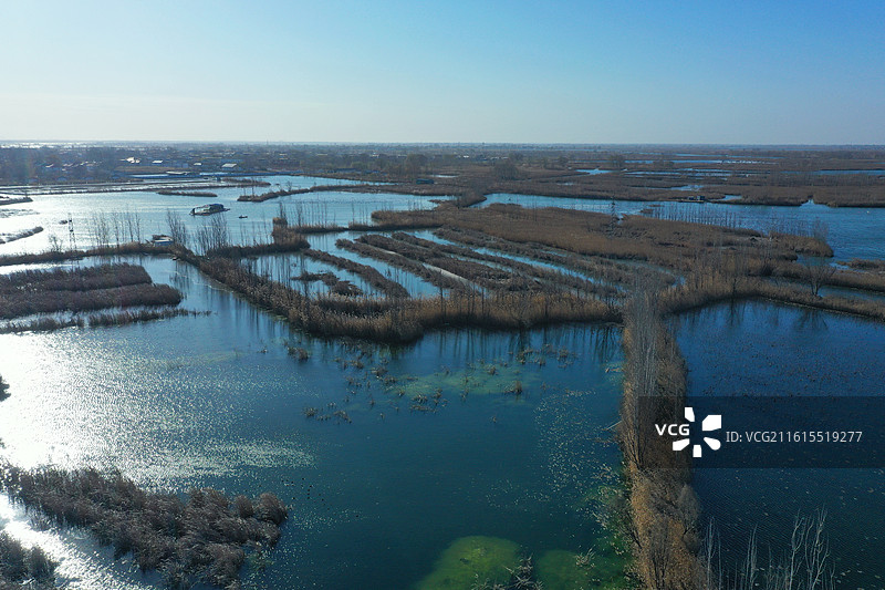 碧水连天映霞光，野鸭掠舞芦花黄  俯身临岸观舟远，银杏红叶风里扬  千岛万湖织洋淀，生态画卷韵悠长图片素材