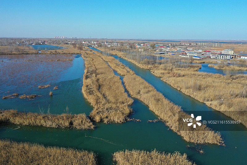 碧水连天映霞光，野鸭掠舞芦花黄  俯身临岸观舟远，银杏红叶风里扬  千岛万湖织洋淀，生态画卷韵悠长图片素材