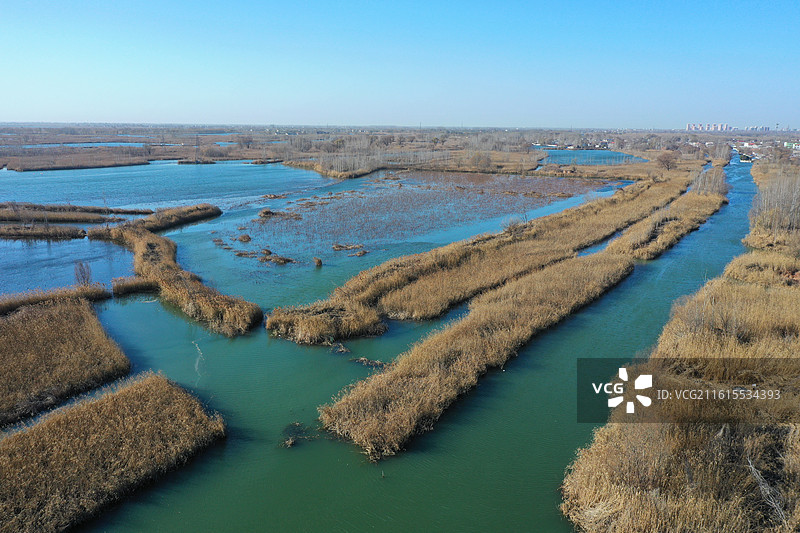 碧水连天映霞光，野鸭掠舞芦花黄  俯身临岸观舟远，银杏红叶风里扬  千岛万湖织洋淀，生态画卷韵悠长图片素材