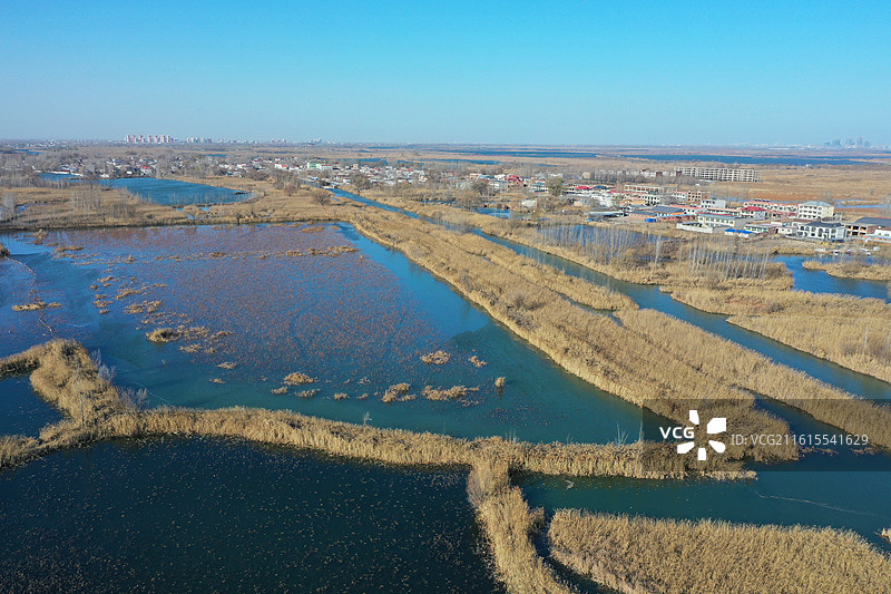 碧水连天映霞光，野鸭掠舞芦花黄  俯身临岸观舟远，银杏红叶风里扬  千岛万湖织洋淀，生态画卷韵悠长图片素材