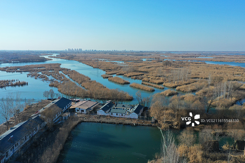 碧水连天映霞光，野鸭掠舞芦花黄  俯身临岸观舟远，银杏红叶风里扬  千岛万湖织洋淀，生态画卷韵悠长图片素材