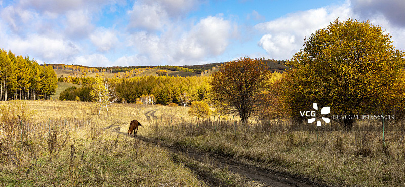 秋天田野图片素材
