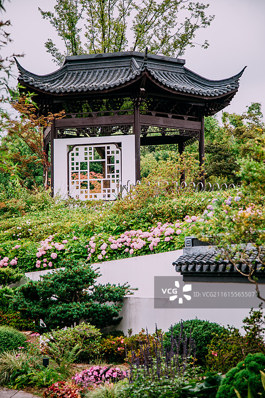 上海虹口区和平公园自然景观图片素材