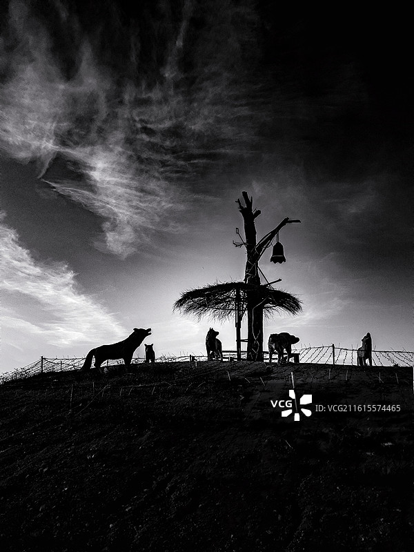 荒野精灵图片素材