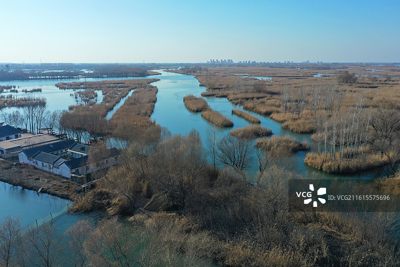 碧水连天映霞光，野鸭掠舞芦花黄  俯身临岸观舟远，银杏红叶风里扬  千岛万湖织洋淀，生态画卷韵悠长图片素材