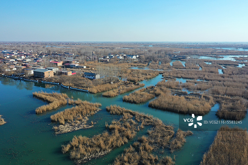 碧水连天映霞光，野鸭掠舞芦花黄  俯身临岸观舟远，银杏红叶风里扬  千岛万湖织洋淀，生态画卷韵悠长图片素材