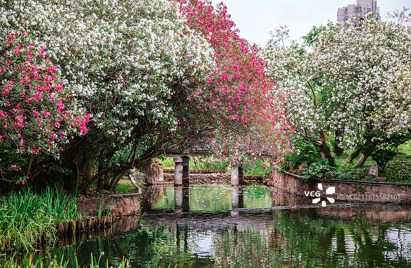 上海虹口区和平公园自然景观图片素材