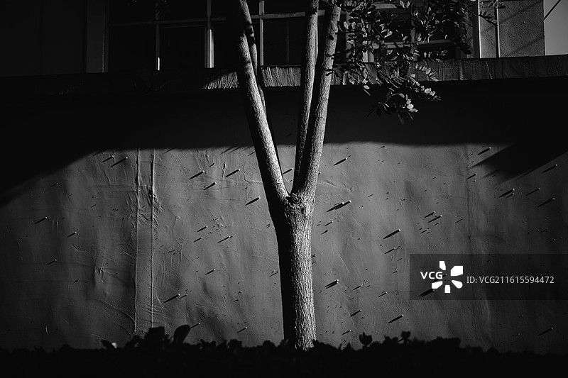 墙和门。蜗牛墙。红墙。玻璃碴。拍照人物背景图壁纸图片素材