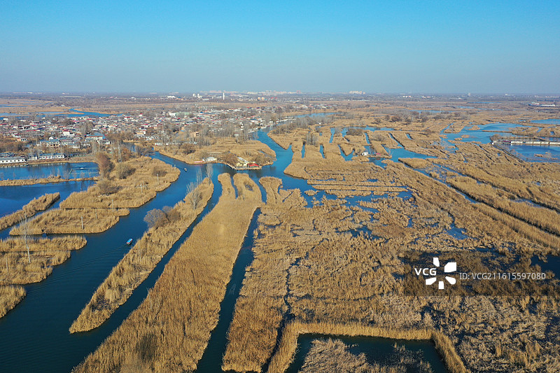 碧水连天映霞光，野鸭掠舞芦花黄  俯身临岸观舟远，银杏红叶风里扬  千岛万湖织洋淀，生态画卷韵悠长图片素材