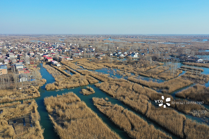 碧水连天映霞光，野鸭掠舞芦花黄  俯身临岸观舟远，银杏红叶风里扬  千岛万湖织洋淀，生态画卷韵悠长图片素材