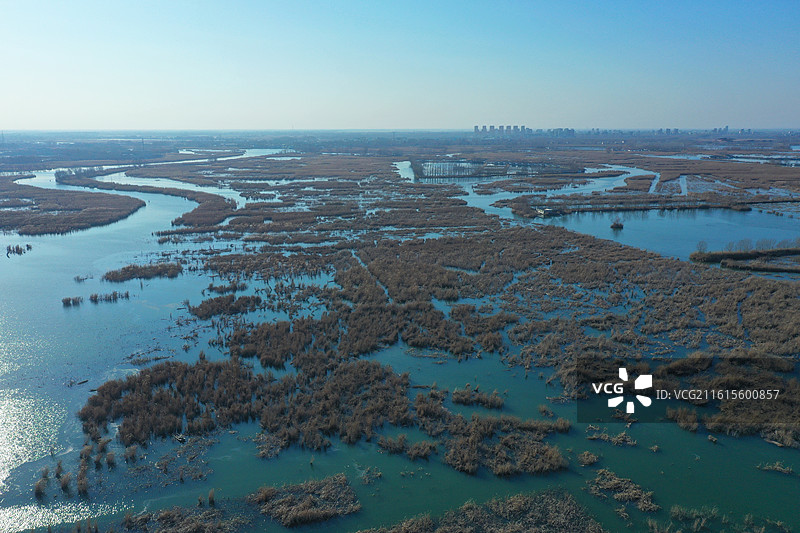 碧水连天映霞光，野鸭掠舞芦花黄  俯身临岸观舟远，银杏红叶风里扬  千岛万湖织洋淀，生态画卷韵悠长图片素材