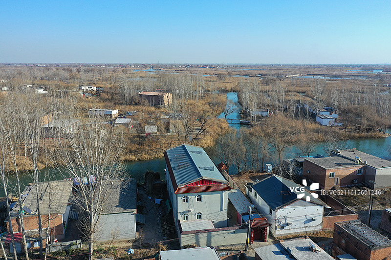碧水连天映霞光，野鸭掠舞芦花黄  俯身临岸观舟远，银杏红叶风里扬  千岛万湖织洋淀，生态画卷韵悠长图片素材