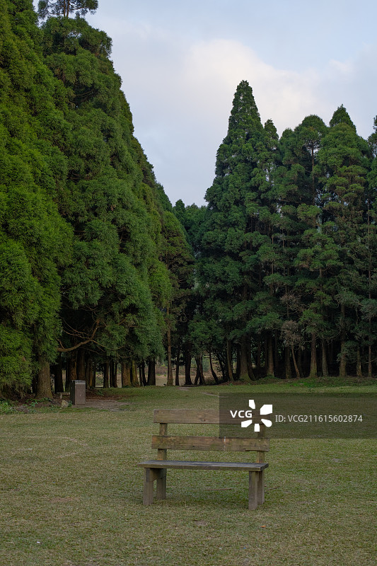 林间草地木长椅图片素材