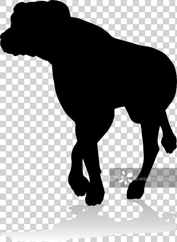 狗的剪影，宠物，动物图片素材