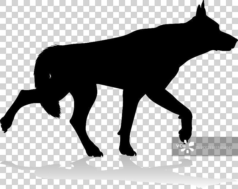 狗的剪影，宠物，动物图片素材